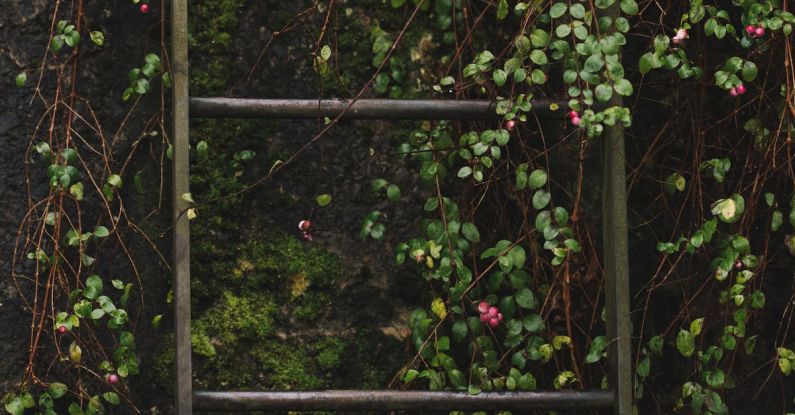 Vertical Garden - Ladder on Vines