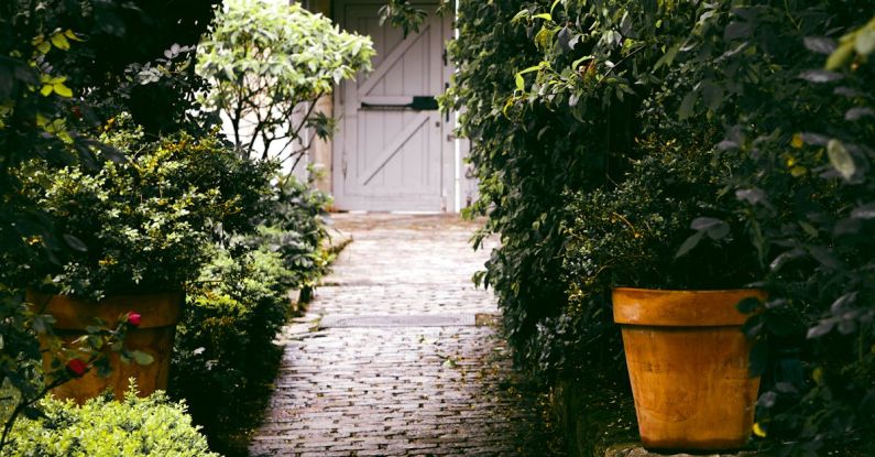 Garden Path - Gray Concrete Pathway Between Plants