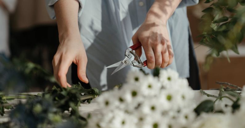 Pruning Tips - Person in White Dress Shirt Holding Silver and Red Scissors