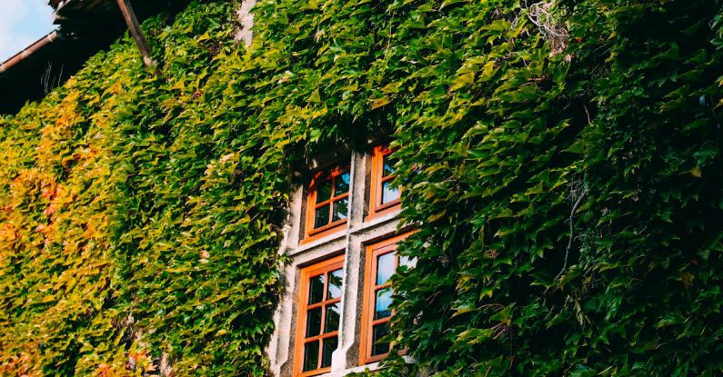 Vertical Garden - Green-leafed Ivy Plant on Grey Concrete Building