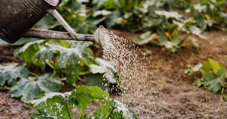 Garden Irrigation - Close-up Photo of Watering Crops