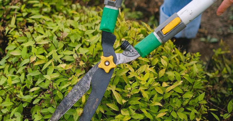 Low Maintenance Garden - From above of unrecognizable gardener with pruner shear standing near green plant while working in agriculture field during seasonal work