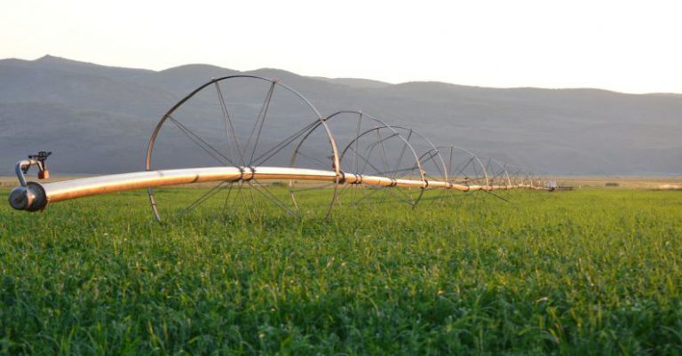 Irrigation System - Irrigation System on Field