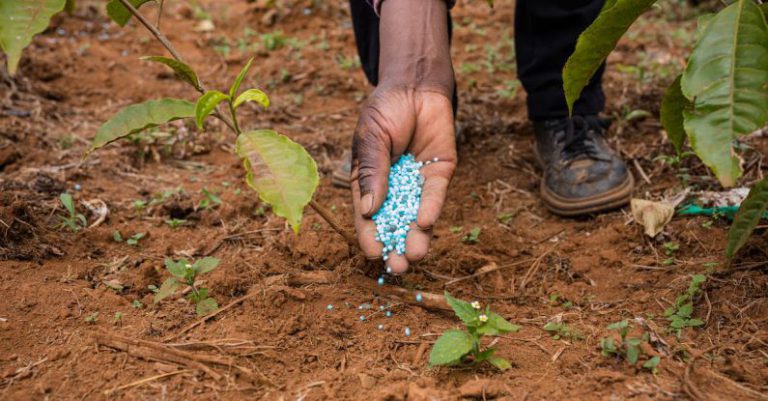 Garden Fertilizer - Hand of Man Putting Fertilizer Pellets on Ground