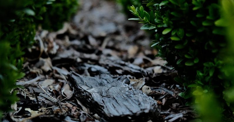 Garden Mulch - Bark Mulch between Plants