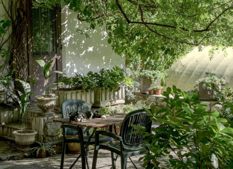 Garden - brown wooden table and chairs